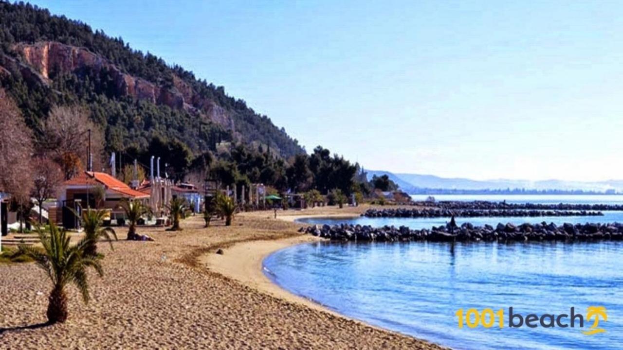 Alkistis House Villa Volos Exteriör bild